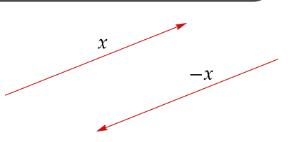 A vector and its additive inverse.